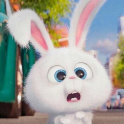 ثاقب محمود avatar